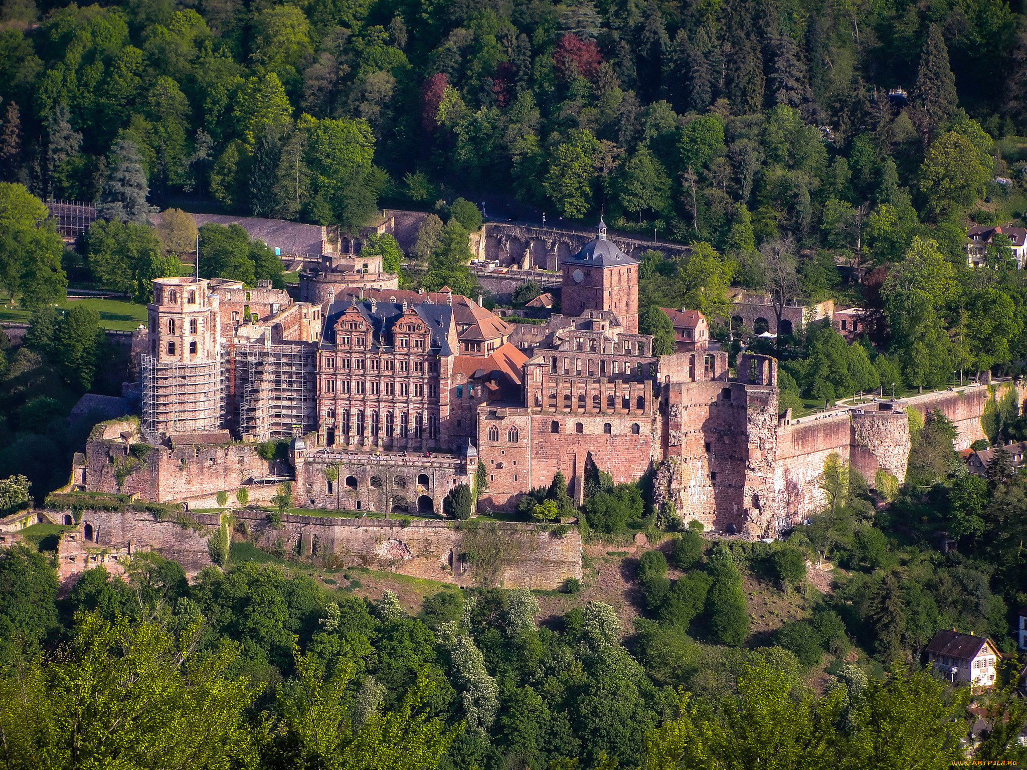 ,  , , heidelberg, castle, , , 
